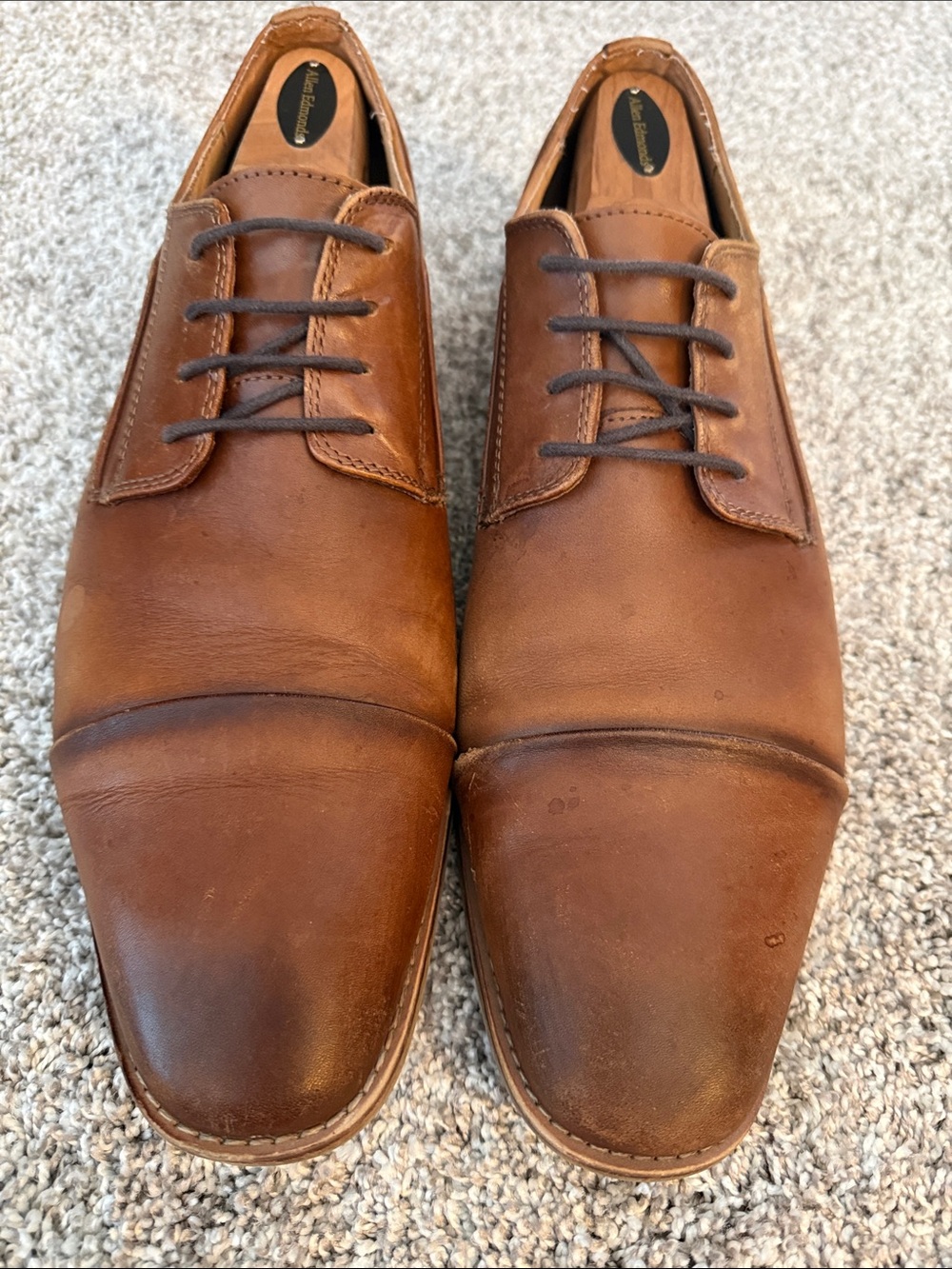 Steve Madden Brown Leather Cap-Toe Derby Shoes